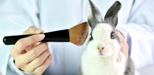 cruelty-free tappe