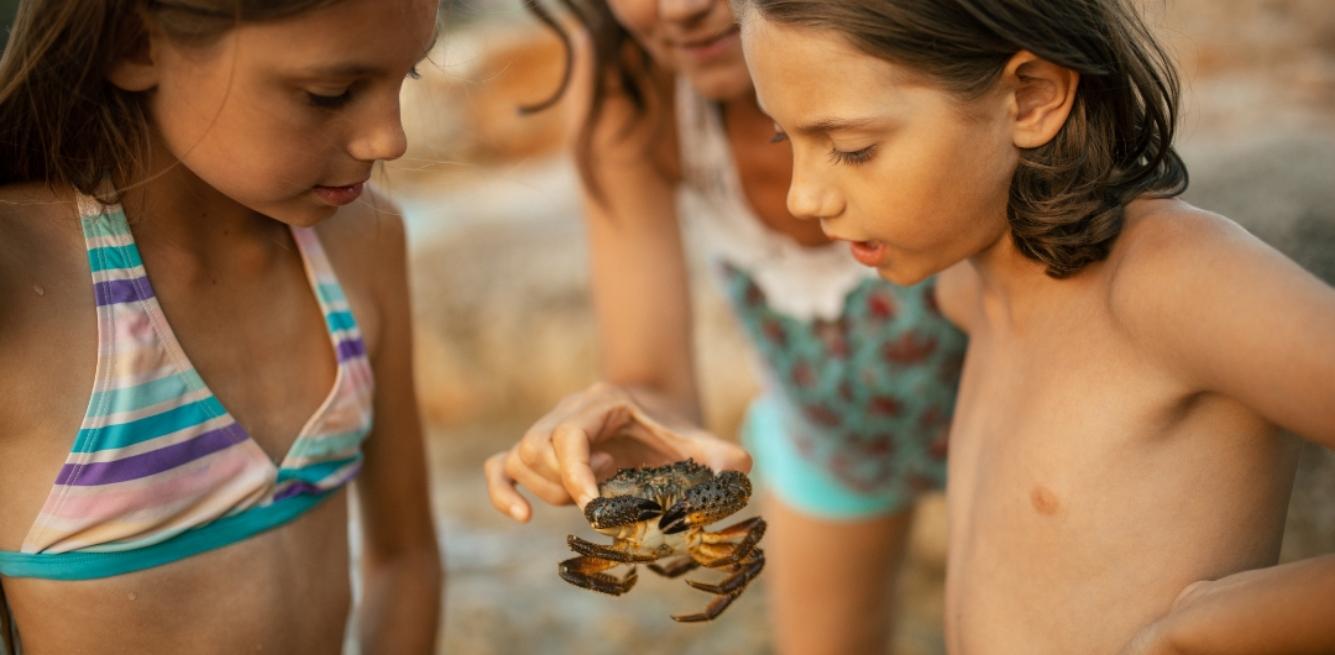 animali marini bambini