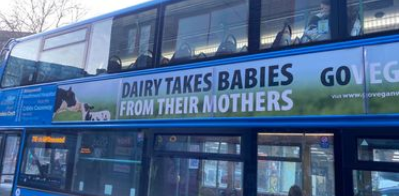 campagna pro-vegan bus