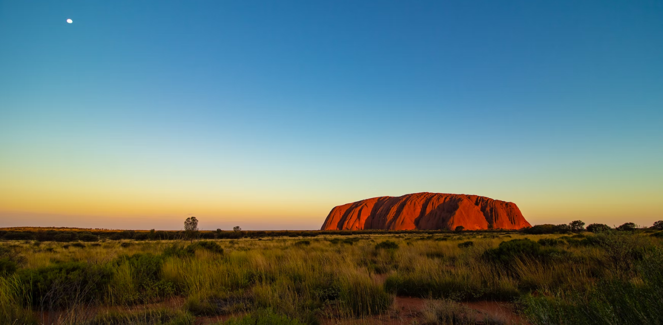 australia animali