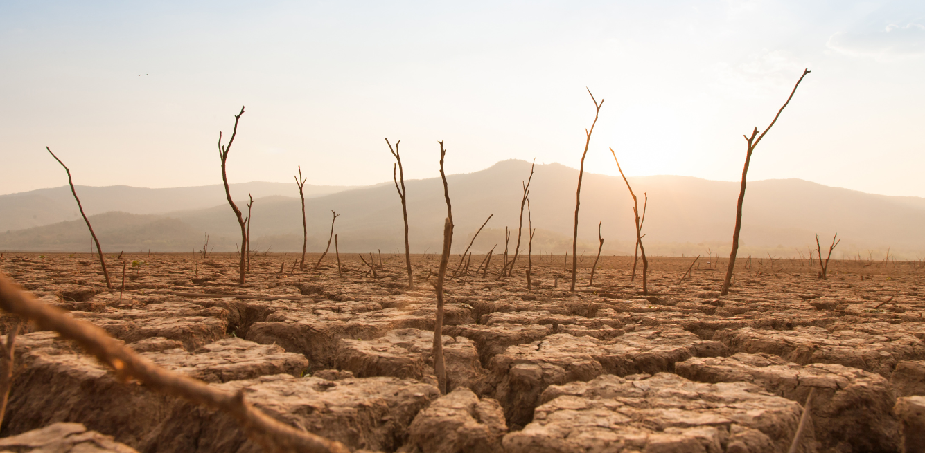 allevamenti climate change