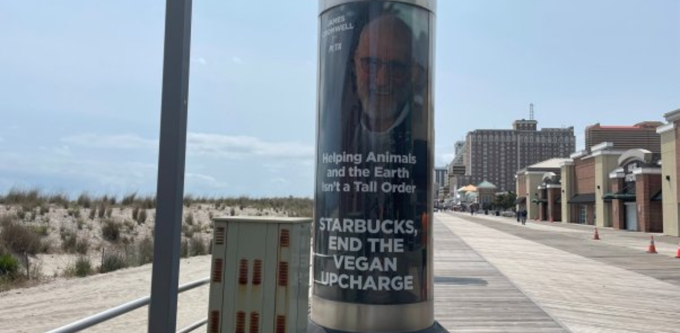 James Cromwell Starbucks