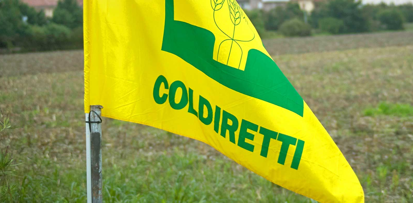 Coldiretti carne coltivata