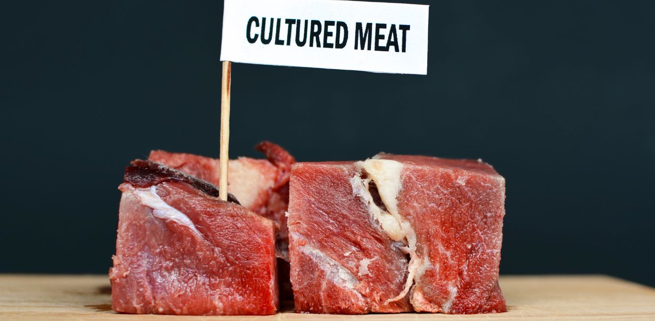 cultured meat