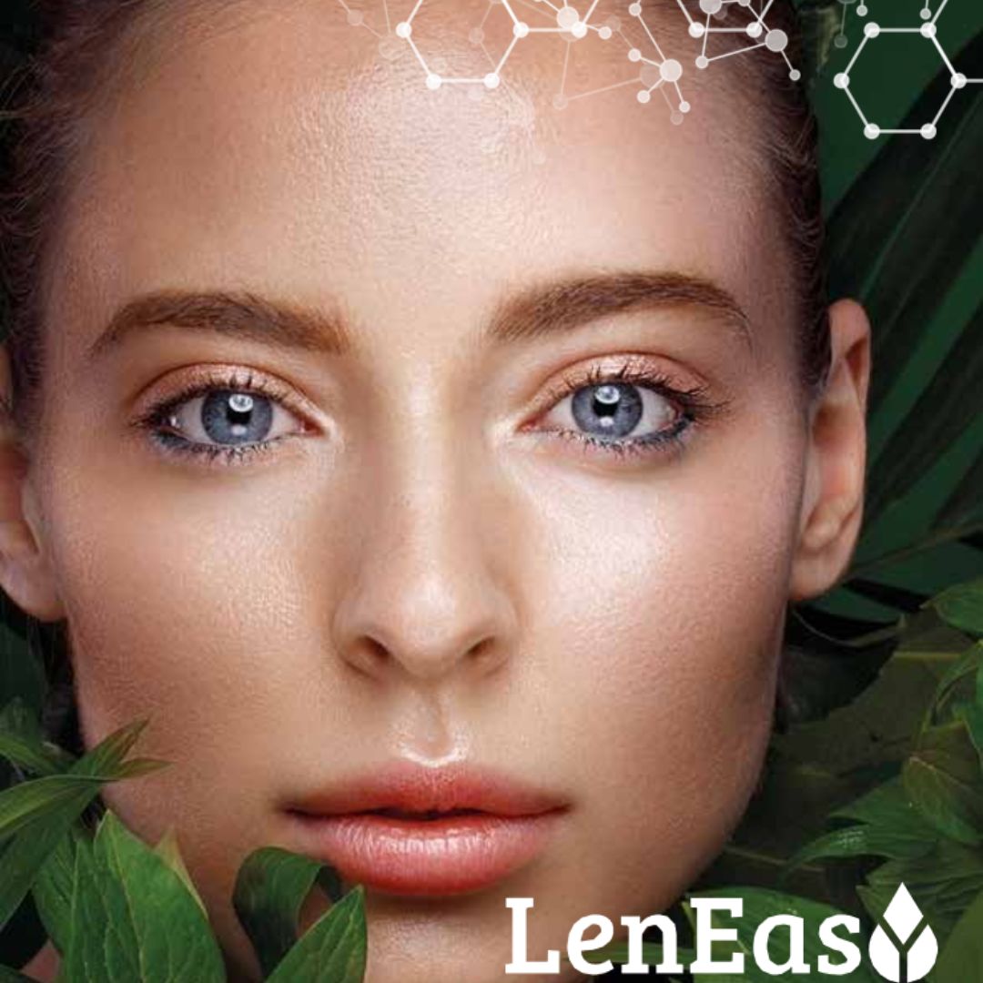 LenEasy Transactiva VEGETALOK