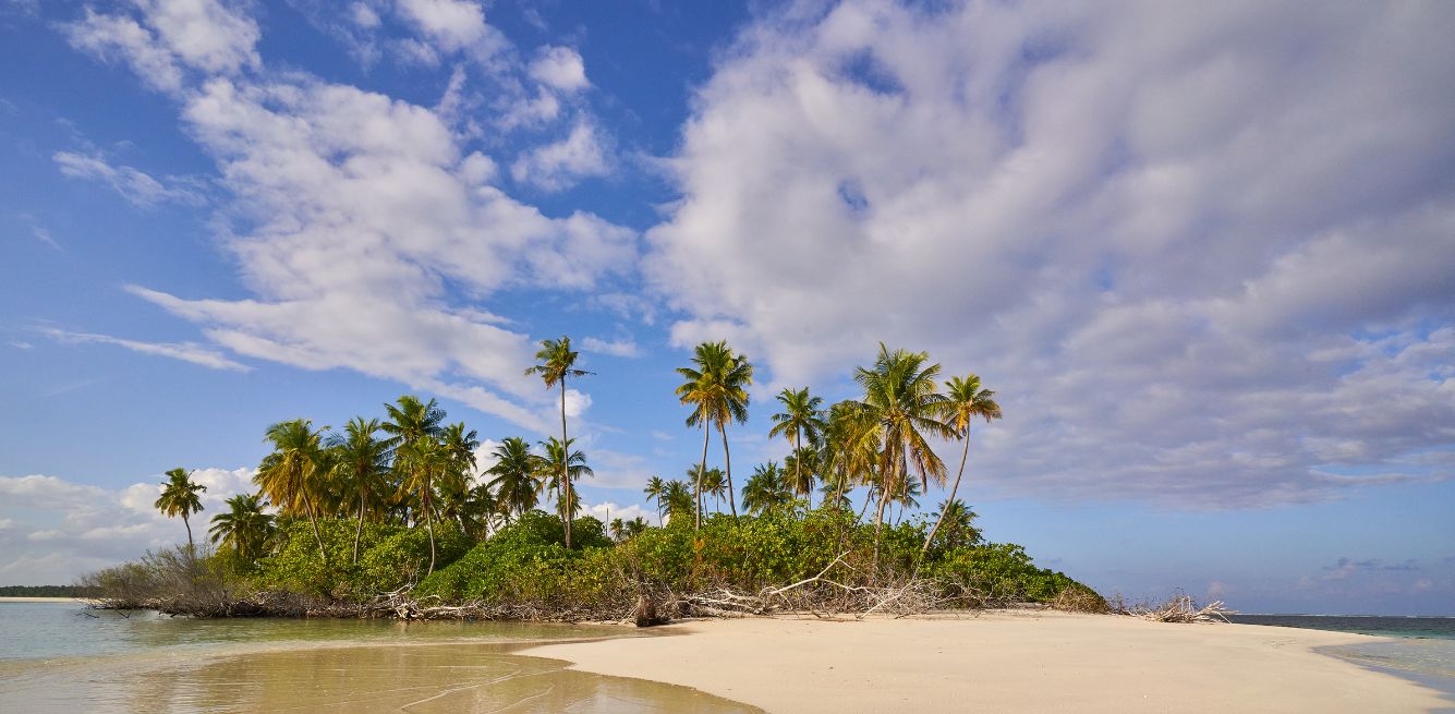 vegani isola deserta