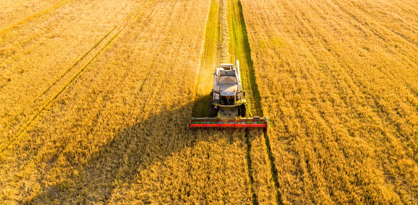 Agricoltori e carne coltivata