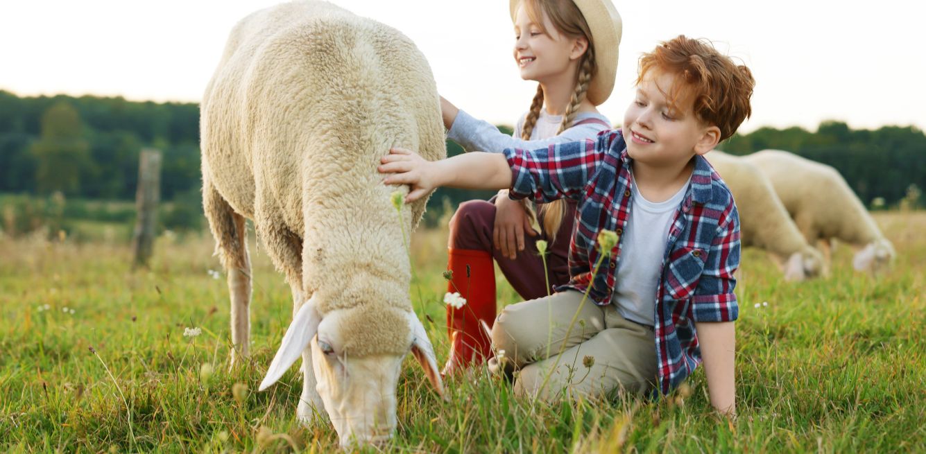 bambini rispetto animali