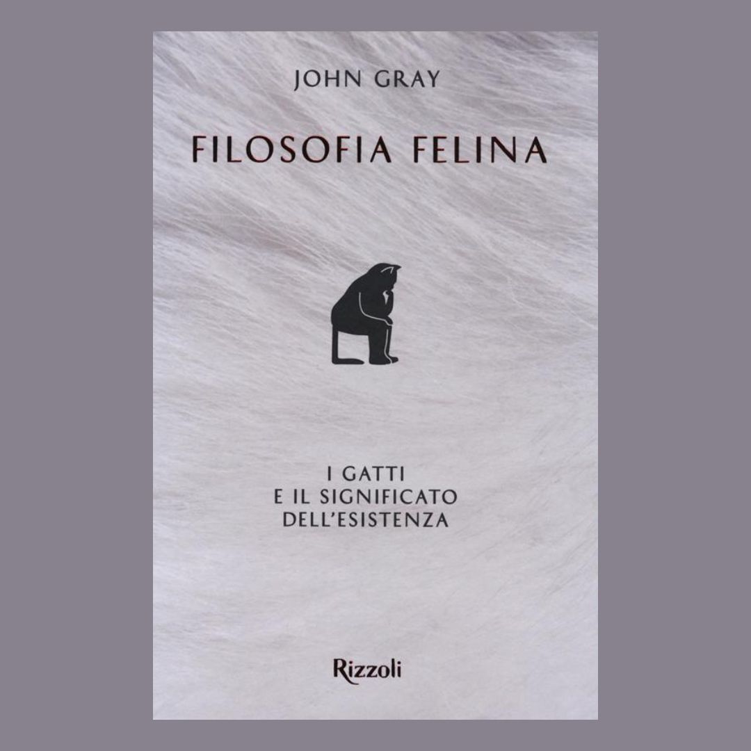 Filosofia felina