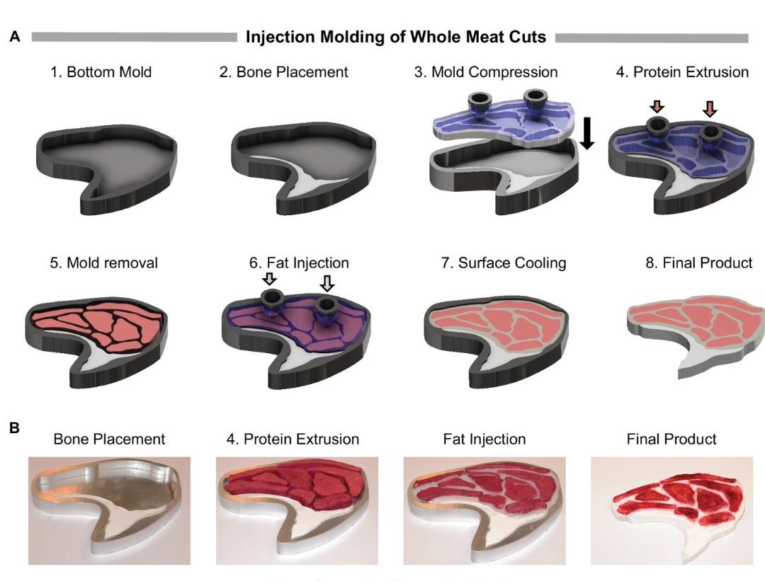 stampaggio a iniezione carne sintetica