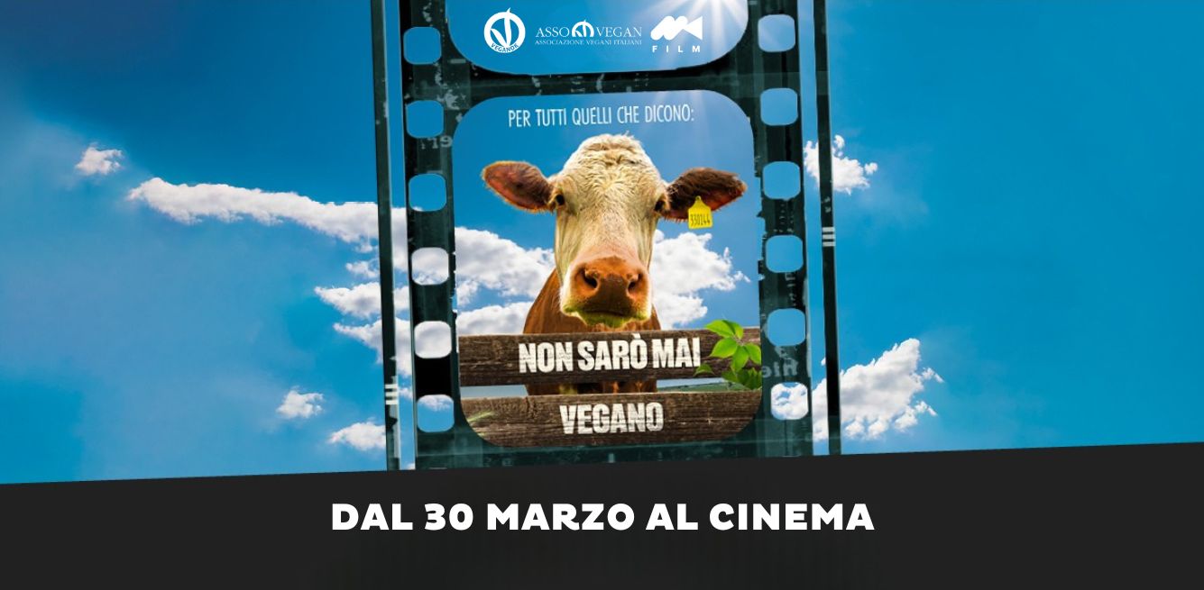 Non sarò mai vegano film